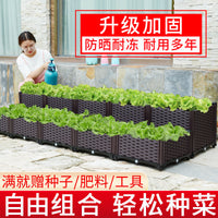 Outdoor Elevated Garden Planter Box for Vegetables and Flowers, Large Rectangular Plastic Planting Container