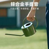 Long Spout Watering Can for Indoor Plants, 1L Metal Watering Pot for Succulents and Flowers