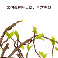 Reptizoo Terrarium Climbing Vine for Reptiles and Amphibians, Jungle Habitat Decor