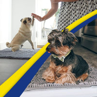 Chenille Pet Mat Super Absorbent Non-Slip Dog Paw Pad Thickened Quick-Drying Cat Mat