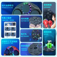 Shubole X6 Smart Music Boxing Machine for Home Training, Adult & Kids Punching Target, Fitness Equipment