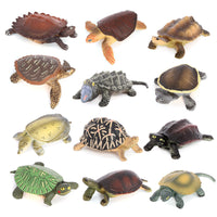 Miniature Solid Simulation Marine and Land Turtle Figurines for Kids' Cognitive Play and Decoration