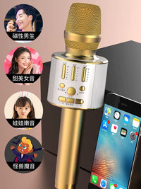 Wireless Bluetooth Karaoke Microphone with Built-in Sound Card for TV KTV Home Use