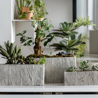 Rectangular Cement Planter for Indoor Plants, Succulents, and Hydroponics