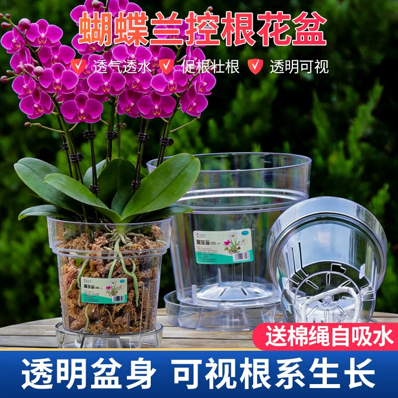 Self-Watering Clear Plastic Planter Pot for Indoor Plants Orchids