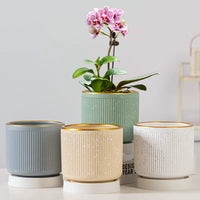 Ceramic Orchid Planter Pot with Tray for Indoor Desktop Plants