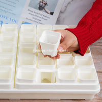 Mini Square Succulent Pots with Trays, Thickened Plastic Small Planters for Indoor Plants