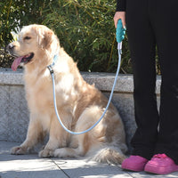 Dog Leash Anti-Pull Training P-Chain for Small Medium Large Dogs Puppy Walking Lead