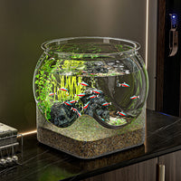 Clear Ecological Micro-Landscape Fish Tank with Base for Betta Fish and Turtles, Shatterproof