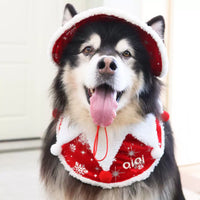 Personalized Embroidered Pet Christmas Hat and Scarf Set for Dogs
