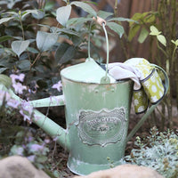 French Vintage Galvanized Watering Can for Garden Plants and Flowers