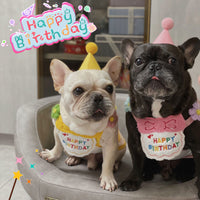 Pet Birthday Hat and Bandana Set, Embroidered Scarf Bib for Cats and Dogs, Party Supplies