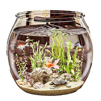 Clear Plastic Fish Tank Aquarium for Micro-Landscape and Turtle Habitat, Shatterproof Office Decor