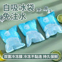 Self-Absorbing Reusable Ice Pack for Food and Beverage Transport