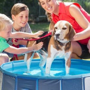 Foldable Pet Swimming Pool and Bath Tub for Dogs