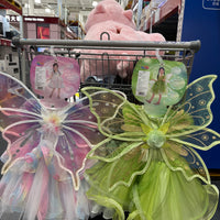 DREAM PARTY Girls' Fairy Princess Dress Set with Wings for Kids