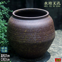 Vintage Hydroponic Planter Pot for Indoor Plants - No-Hole Design for Water Cultivation
