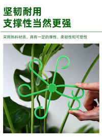 Monstera Plant Support Stakes for Anti-Toppling and Stem Training, 4-Piece Set