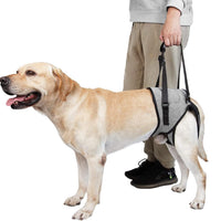 Customizable Pet Dog Rear Leg Support Harness for Elderly & Disabled Dogs