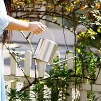 Stainless Steel Long Spout Watering Can for Indoor Plants