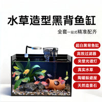 Crystal Clear Glass Aquarium Tank for Fish and Turtles, Desktop Eco-Cycle Filter Ready