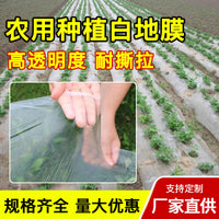 Agricultural White Plastic Mulch Film for Greenhouse Vegetable Seedling Winter Protection