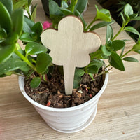 Wooden Plant Markers for Garden & Potted Plants - Indoor/Outdoor Floral & Succulent Labels
