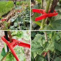 New Winter Melon Plastic Clips for Bitter Gourd, Loofah, Cucumber, and Luffa - Plant Support Clips for Trellising and Fixing Vines