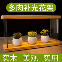 Wooden Succulent Plant Stand with Full Spectrum Grow Light for Indoor Desktop Display
