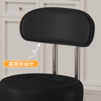Adjustable Swivel Stool with Backrest for Salon, Office, and Home Use