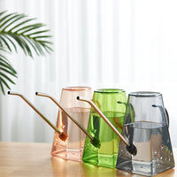 Clear Stainless Steel Long Spout Watering Can for Garden & Indoor Plants
