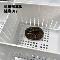 Turtle Hatchling Incubator with Feces Separation, Heating, and Lid for Wintering and Breeding