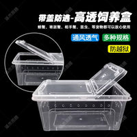 Amphibious Reptile Habitat with Lid for Frogs, Turtles, Crabs, and Salamanders