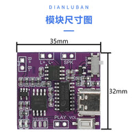 USB Downloadable Music Module with 3W Amplifier and Memory for Greeting Cards