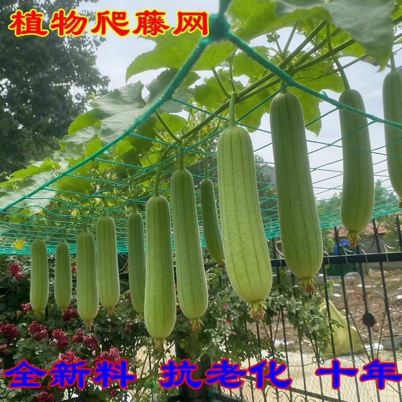 Durable Plant Trellis Netting for Climbing Vines, Fruits, and Vegetables