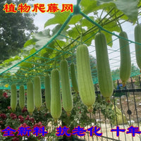 Durable Plant Trellis Netting for Climbing Vines, Fruits, and Vegetables
