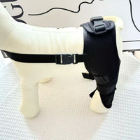 Pet Dog Front Leg Brace for Injury Recovery and Joint Protection