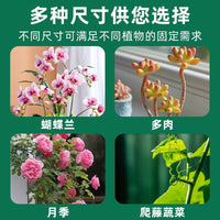 Plant Support Stakes for Amaryllis and Floral Arrangements, Coated Iron Garden Plant Support Rods