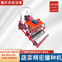 Hand-Pushed Gasoline Precision Seeder for Vegetables and Flowers