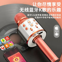 858 Bluetooth Karaoke Microphone with Integrated Speaker for Kids and Adults