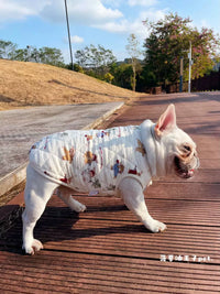 Pet Christmas Rabbit Vest Warm Cotton-Padded Dog Coat for Autumn/Winter
