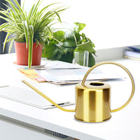 Large Capacity Stainless Steel Watering Can with Long Spout for Garden Plants