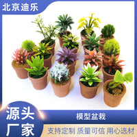 Miniature Potted Succulent Plants for Dollhouse & Micro Landscape Decor