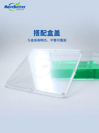 High Transparency Seed Sprouting Box with Humidity Dome for Enhanced Germination