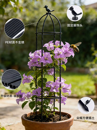 Climbing Plant Trellis for Potted Plants, Metal Garden Support for Roses and Clematis
