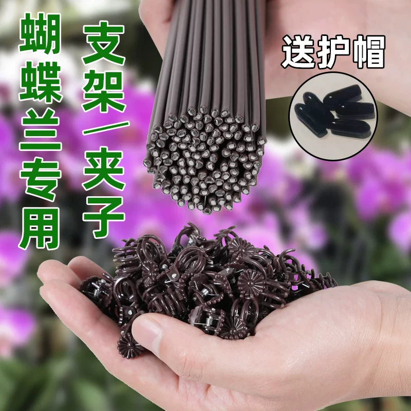 Orchid Plant Support Stakes with Clips for Potted Flowers and Gardening