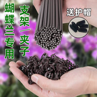 Orchid Plant Support Stakes with Clips for Potted Flowers and Gardening