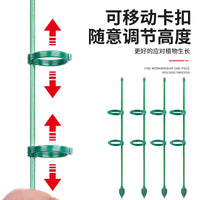 Plant Support Stakes for Potted Plants, Tomatoes, and Climbing Vines - Anti-Toppling Garden Support Kit