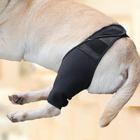 Pet Dog Leg Brace for Injury Recovery, Front/Rear Leg Support for Fractures and ACL, Canine Knee Protector