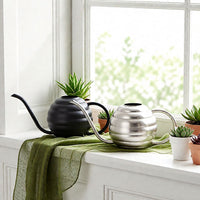 Stainless Steel Watering Can with Spray Nozzle for Indoor Plants and Gardening, 400ml/500ml
